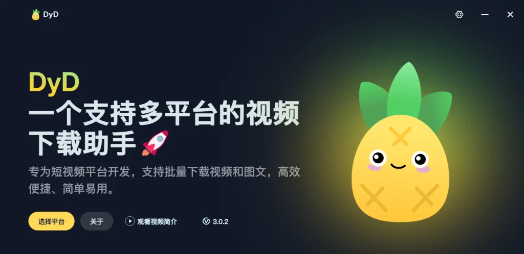 DyD多平台短视频下载助手v3.0.2软件界面 - 五平台无水印批量下载功能展示